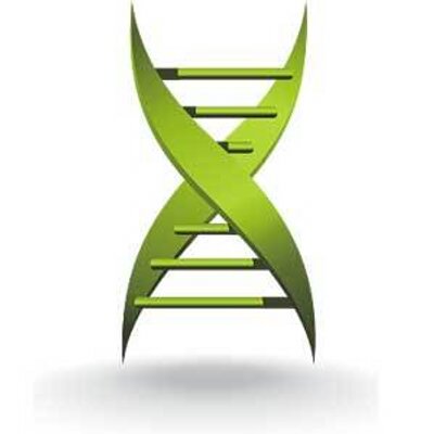 MedicalXpress MedicalXpress